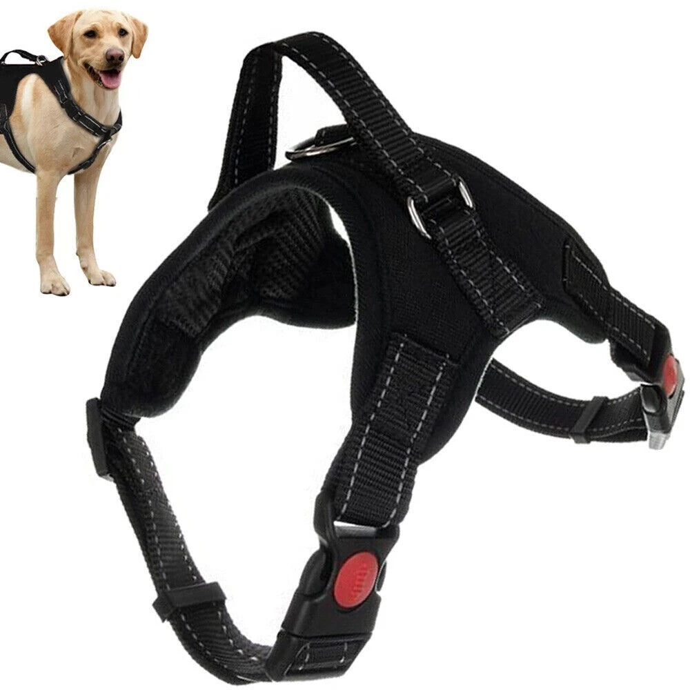 Pettorina per Cane Taglia S, Senza Pressione, Riflettente, Regolabile, fino a 30kg, PP + Poliestere