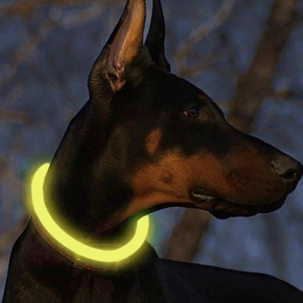 Collare LED Luminoso Cane e Gatto USB Ricaricabile e regolabile 2 misure
