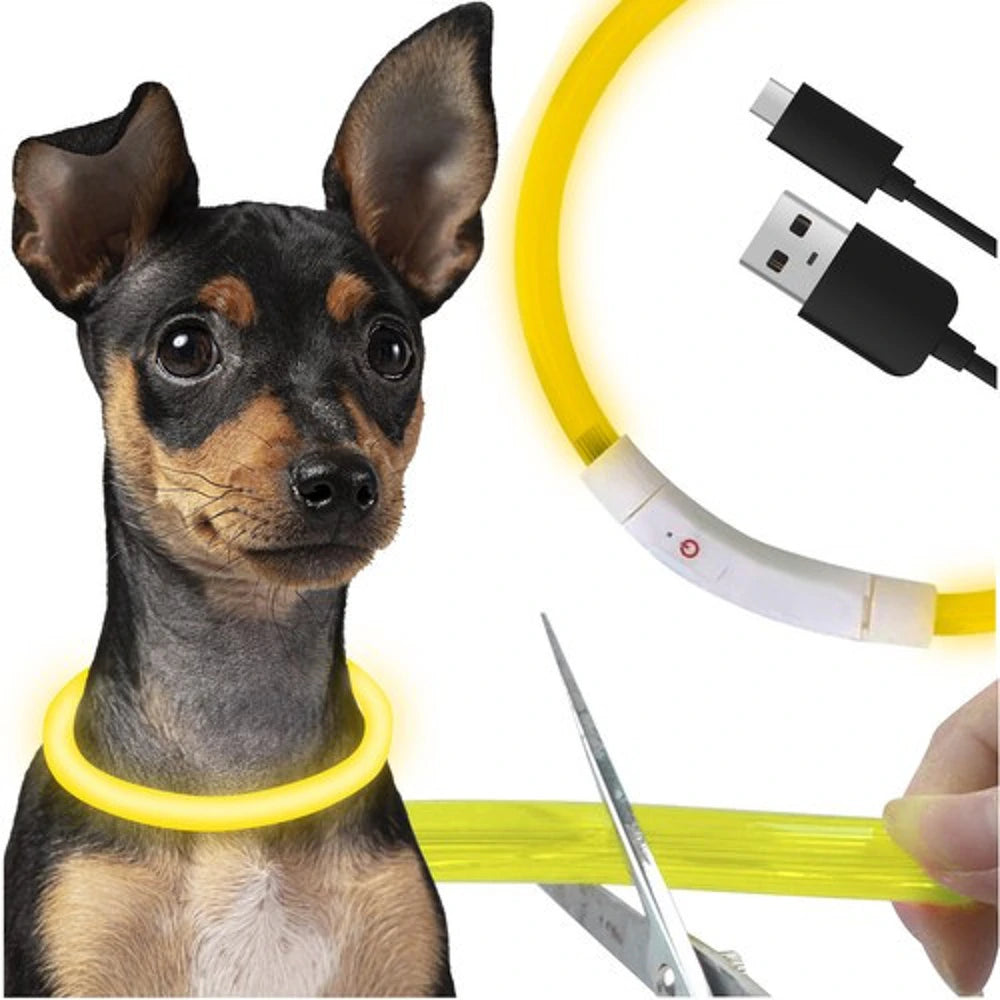 Collare LED Luminoso Cane e Gatto USB Ricaricabile e regolabile 2 misure