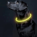 Collare LED Luminoso Cane e Gatto USB Ricaricabile e regolabile 2 misure