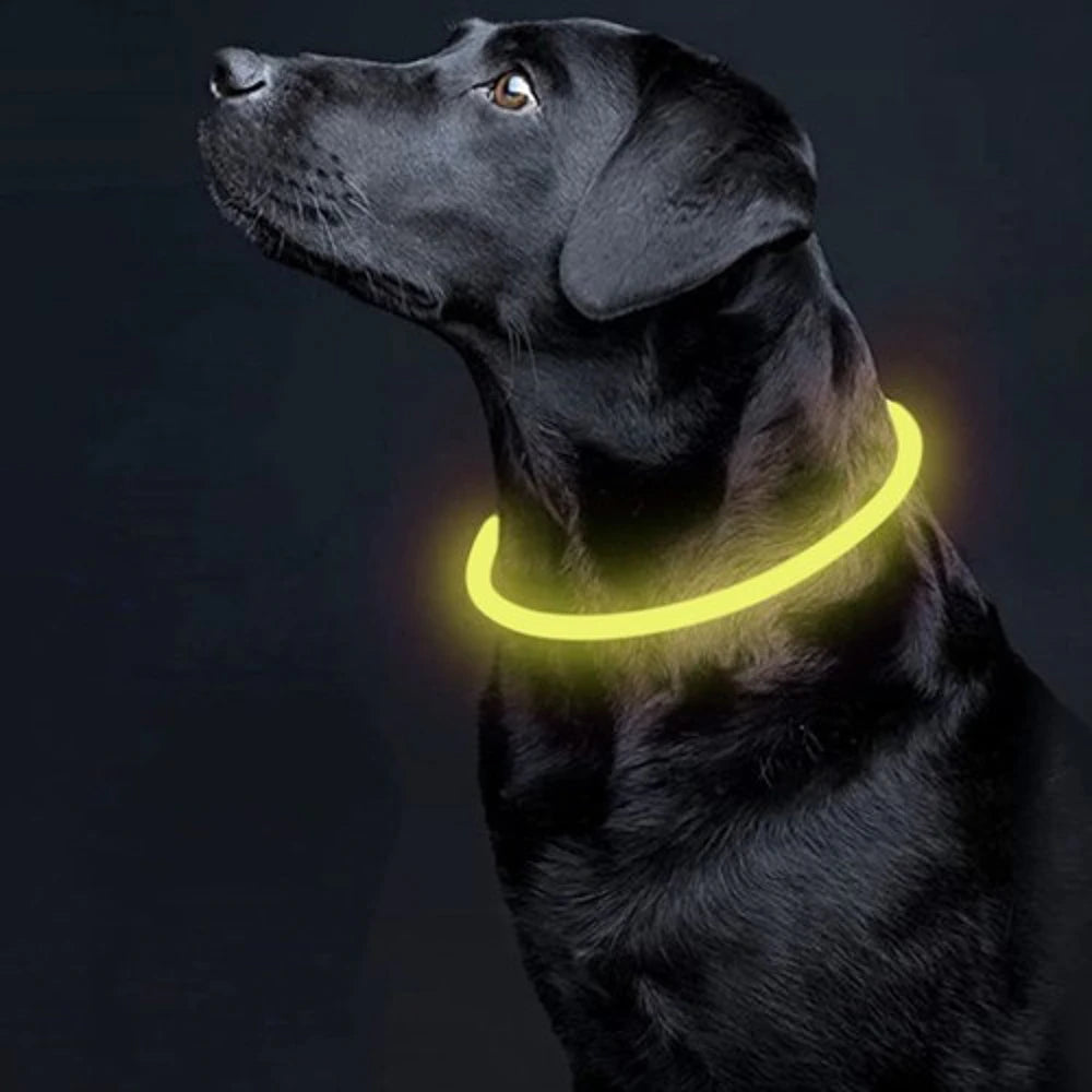 Collare LED Luminoso Cane e Gatto USB Ricaricabile e regolabile 2 misure