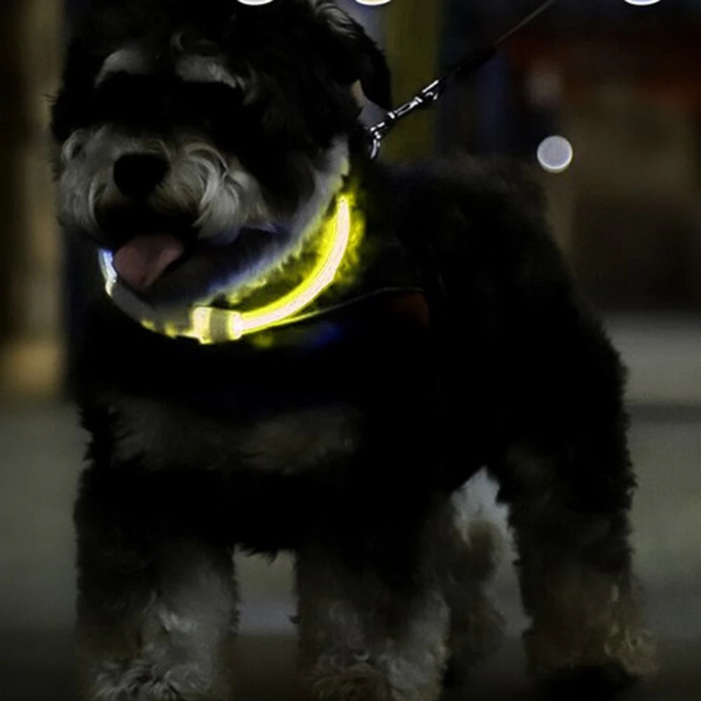 Collare LED Luminoso Cane e Gatto USB Ricaricabile e regolabile 2 misure