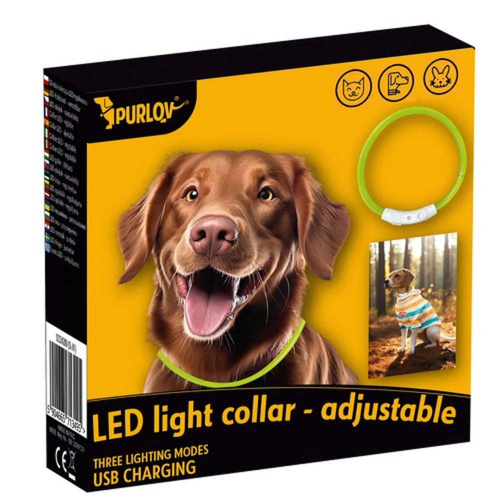 Collare LED Luminoso Cane e Gatto USB Ricaricabile e regolabile 2 misure