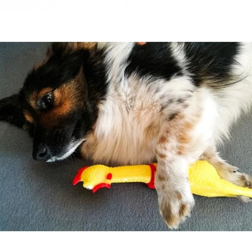 Pollo di gomma suono urlante al contatto giocattolo domestico 30 cm