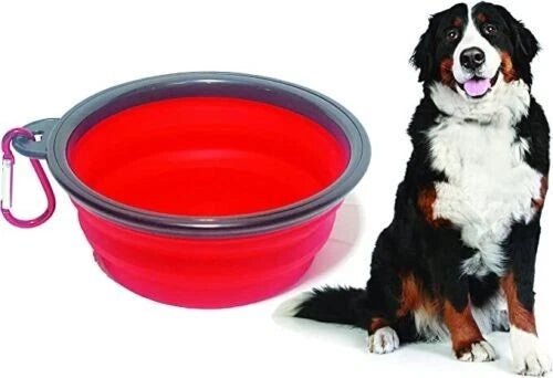 Ciotola pieghevole per cani e gatti da viaggio in silicone