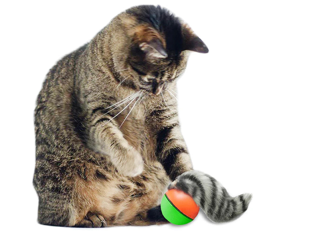 Giocattolo per Gatti Palla Motorizzata con Furetto | Divertimento Interattivo