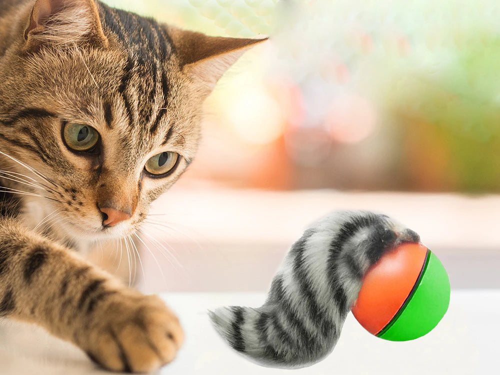 Giocattolo per Gatti Palla Motorizzata con Furetto | Divertimento Interattivo